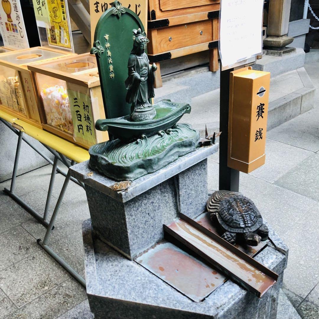 MITSUBISHI MJ-PV240PX-W 三菱 注文 衣類乾燥除湿機 Amazon.co.jp: 小